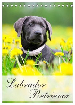 Cover Labrador Retriever (Tischkalender 2026 DIN A5 hoch), CALVENDO Monatskalender