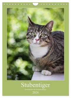 Stubentiger (Wandkalender 2026 DIN A4 hoch), CALVENDO Monatskalender
