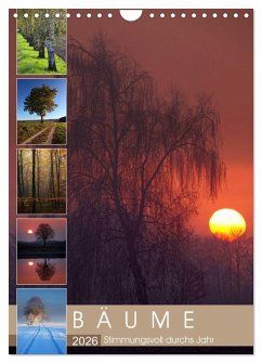 Cover Bäume - Stimmungsvoll durchs Jahr (Wandkalender 2026 DIN A4 hoch), CALVENDO Monatskalender