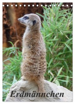 Cover Erdmännchen (Tischkalender 2026 DIN A5 hoch), CALVENDO Monatskalender