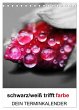 schwarz/weiß trifft farbe - DEIN... - Bild 1
