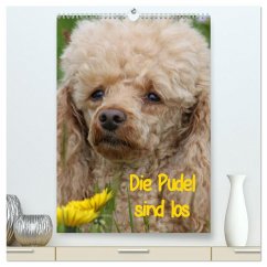 Cover Die Pudel sind los (hochwertiger Premium Wandkalender 2026 DIN A2 hoch), Kunstdruck in Hochglanz