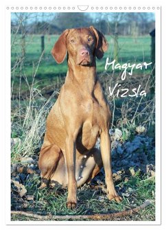 Cover Magyar Vizsla (Wandkalender 2026 DIN A3 hoch), CALVENDO Monatskalender