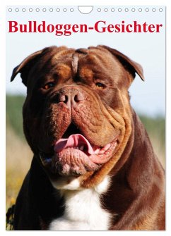 Cover Bulldoggen-Gesichter (Wandkalender 2026 DIN A4 hoch), CALVENDO Monatskalender