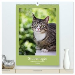 Stubentiger (hochwertiger Premium Wandkalender 2026 DIN A2 hoch), Kunstdruck in Hochglanz