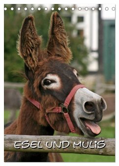 Esel und Mulis (Tischkalender 2026 DIN A5 hoch), CALVENDO Monatskalender