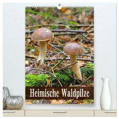 Heimische Waldpilze (hochwertiger Premium Wandkalender 2026 DIN A2 hoch), Kunstdruck in Hochglanz