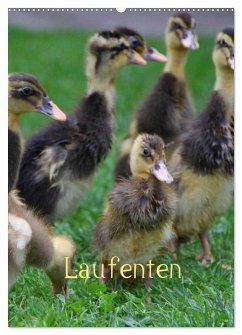 Laufenten (Wandkalender 2026 DIN A2 hoch), CALVENDO Monatskalender