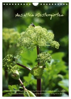 Aus alten Klostergärten (Wandkalender 2026 DIN A4 hoch), CALVENDO Monatskalender
