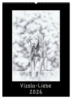 Vizsla-Liebe (Wandkalender 2026 DIN A2 hoch), CALVENDO Monatskalender Cover Vizsla-Liebe (Wandkalender 2026 DIN A2 hoch), CALVENDO Monatskalender