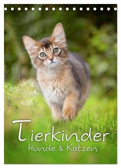 Tierkinder Hunde und Katzen (Tischkalender 2026 DIN A5 hoch), CALVENDO Monatskalender Tierkinder Hunde und Katzen (Tischkalender 2026 DIN A5 hoch), CALVENDO Monatskalender
