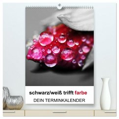 Cover schwarz/weiß trifft farbe - DEIN TERMINKALENDER / Planer (hochwertiger Premium Wandkalender 2026 DIN A2 hoch), Kunstdruck in Hochglanz