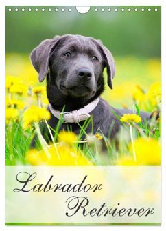 Cover Labrador Retriever (Wandkalender 2026 DIN A4 hoch), CALVENDO Monatskalender