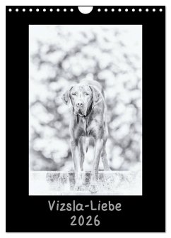 Vizsla-Liebe (Wandkalender 2026 DIN A4 hoch), CALVENDO Monatskalender Cover Vizsla-Liebe (Wandkalender 2026 DIN A4 hoch), CALVENDO Monatskalender