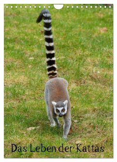Cover Das Leben der Kattas (Wandkalender 2026 DIN A4 hoch), CALVENDO Monatskalender