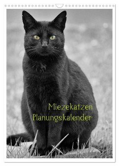 Cover Miezekatzen Planungskalender (Wandkalender 2026 DIN A3 hoch), CALVENDO Monatskalender