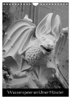 Wasserspeier am Ulmer Münster (Wandkalender 2026 DIN A4 hoch), CALVENDO Monatskalender