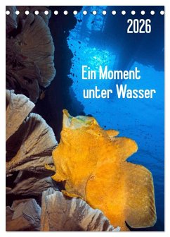 Cover Ein Moment unter Wasser (Tischkalender 2026 DIN A5 hoch), CALVENDO Monatskalender