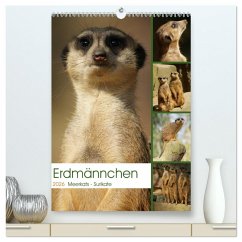 Cover Erdmännchen-Meerkats-Surikate (hochwertiger Premium Wandkalender 2026 DIN A2 hoch), Kunstdruck in Hochglanz