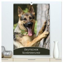 Deutscher Schäferhund (hochwertiger Premium Wandkalender 2026 DIN A2 hoch), Kunstdruck in Hochglanz