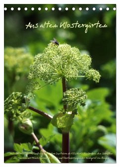 Aus alten Klostergärten (Tischkalender 2026 DIN A5 hoch), CALVENDO Monatskalender
