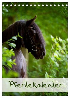 Pferdekalender (Tischkalender 2026 DIN A5 hoch), CALVENDO Monatskalender Pferdekalender (Tischkalender 2026 DIN A5 hoch), CALVENDO Monatskalender