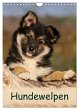 Hundewelpen (Wandkalender 2026 DIN A4... - Bild 1