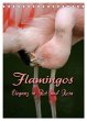 Flamingos - Eleganz in Rot und Rosa... - Bild 1