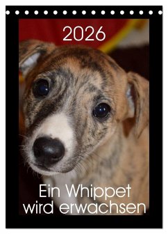 Cover Ein Whippet wird erwachsen (Tischkalender 2026 DIN A5 hoch), CALVENDO Monatskalender