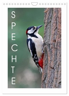 Cover Spechte (Wandkalender 2026 DIN A4 hoch), CALVENDO Monatskalender