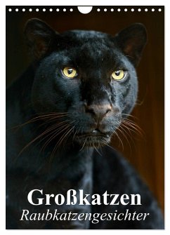 Großkatzen. Raubkatzengesichter (Wandkalender 2026 DIN A4 hoch), CALVENDO Monatskalender Cover Großkatzen. Raubkatzengesichter (Wandkalender 2026 DIN A4 hoch), CALVENDO Monatskalender