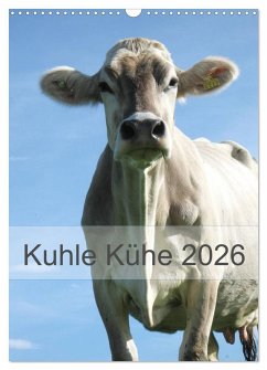 Kuhle Kühe 2026 (Wandkalender 2026 DIN A3 hoch), CALVENDO Monatskalender Kuhle Kühe 2026 (Wandkalender 2026 DIN A3 hoch), CALVENDO Monatskalender