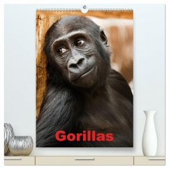 Gorillas (hochwertiger Premium Wandkalender 2026 DIN A2 hoch), Kunstdruck in Hochglanz Cover Gorillas (hochwertiger Premium Wandkalender 2026 DIN A2 hoch), Kunstdruck in Hochglanz