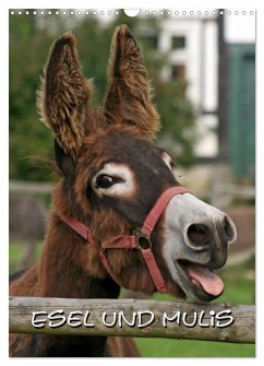 Esel und Mulis (Wandkalender 2026 DIN A3 hoch), CALVENDO Monatskalender