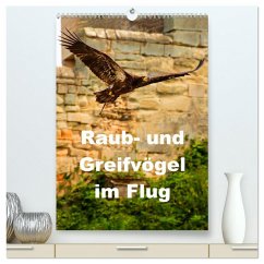 Raub- und Greifvögel im Flug (hochwertiger Premium Wandkalender 2026 DIN A2 hoch), Kunstdruck in Hochglanz
