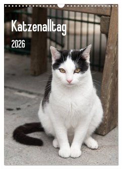 Cover Katzenalltag 2026 (Wandkalender 2026 DIN A3 hoch), CALVENDO Monatskalender