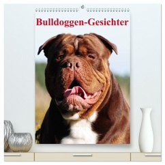 Cover Bulldoggen-Gesichter (hochwertiger Premium Wandkalender 2026 DIN A2 hoch), Kunstdruck in Hochglanz