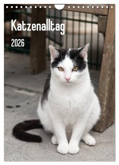 Cover Katzenalltag 2026 (Wandkalender 2026 DIN A4 hoch), CALVENDO Monatskalender