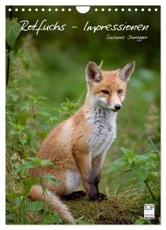 Cover Rotfuchs - Impressionen (Wandkalender 2026 DIN A4 hoch), CALVENDO Monatskalender