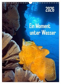 Cover Ein Moment unter Wasser (Wandkalender 2026 DIN A3 hoch), CALVENDO Monatskalender