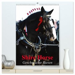 Shire Horse - Geschmückte Riesen (hochwertiger Premium Wandkalender 2026 DIN A2 hoch), Kunstdruck in Hochglanz Cover Shire Horse - Geschmückte Riesen (hochwertiger Premium Wandkalender 2026 DIN A2 hoch), Kunstdruck in Hochglanz