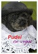 Pudel en vogue (Wandkalender 2026 DIN... - Bild 1