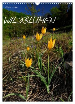 WILDBLUMEN (Wandkalender 2026 DIN A3 hoch), CALVENDO Monatskalender WILDBLUMEN (Wandkalender 2026 DIN A3 hoch), CALVENDO Monatskalender