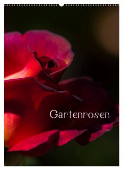 Cover Gartenrosen (Wandkalender 2026 DIN A2 hoch), CALVENDO Monatskalender