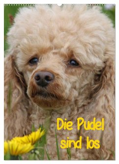 Cover Die Pudel sind los (Wandkalender 2026 DIN A2 hoch), CALVENDO Monatskalender