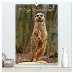 Cover Erdmännchen / Terminplaner (hochwertiger Premium Wandkalender 2026 DIN A2 hoch), Kunstdruck in Hochglanz