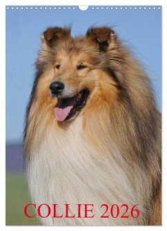 Cover Collie 2026 (Wandkalender 2026 DIN A3 hoch), CALVENDO Monatskalender