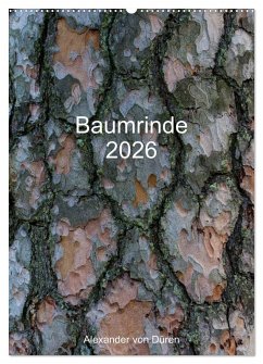 Baumrinde 2026 (Wandkalender 2026 DIN A2 hoch), CALVENDO Monatskalender Cover Baumrinde 2026 (Wandkalender 2026 DIN A2 hoch), CALVENDO Monatskalender