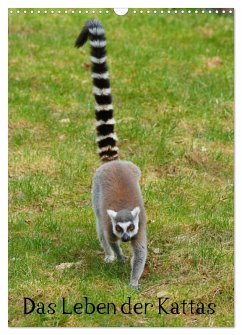 Cover Das Leben der Kattas (Wandkalender 2026 DIN A3 hoch), CALVENDO Monatskalender