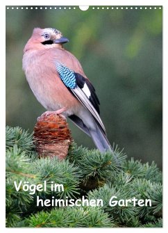 Cover Vögel im heimischen Garten (Wandkalender 2026 DIN A3 hoch), CALVENDO Monatskalender